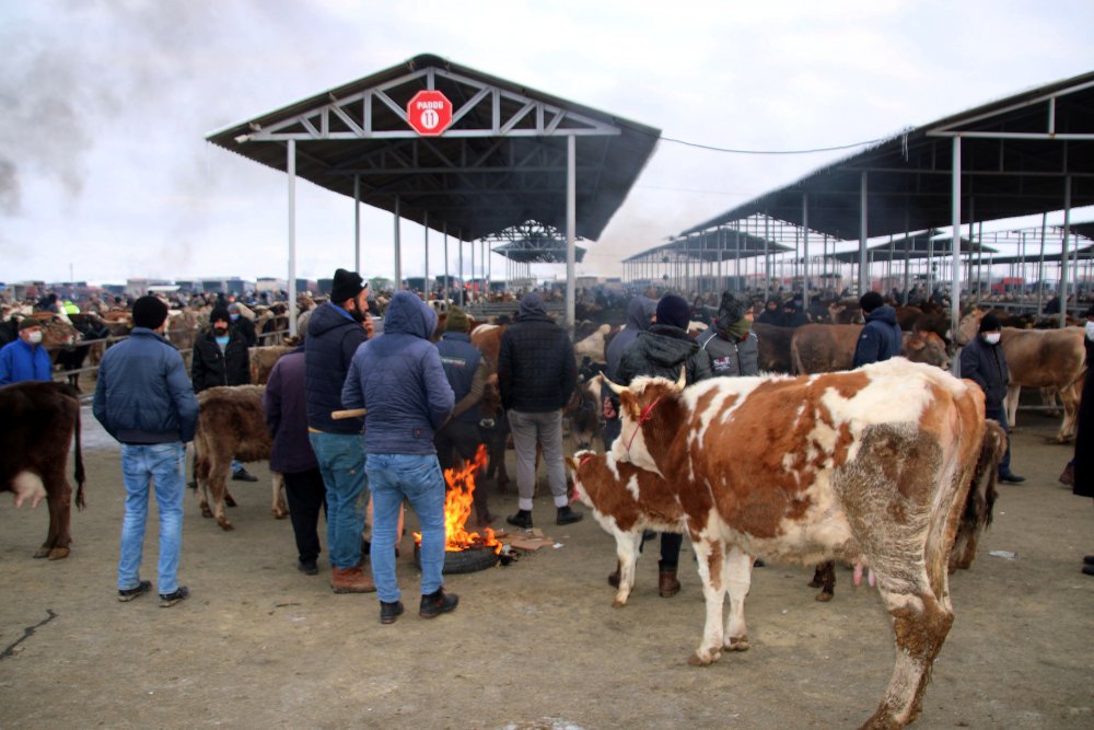 Besicilerden soğuk havaya karşı örtülü önlem
