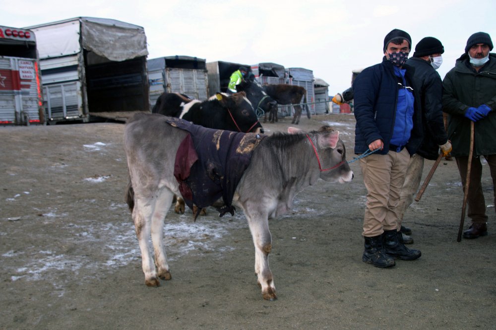 Besicilerden soğuk havaya karşı örtülü önlem