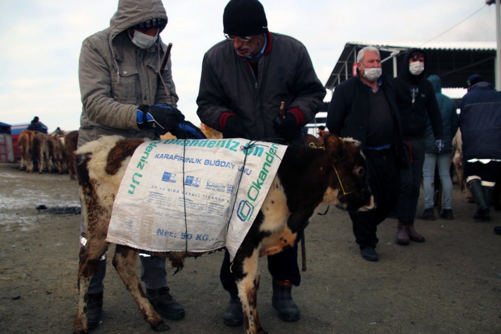 Besicilerden soğuk havaya karşı örtülü önlem