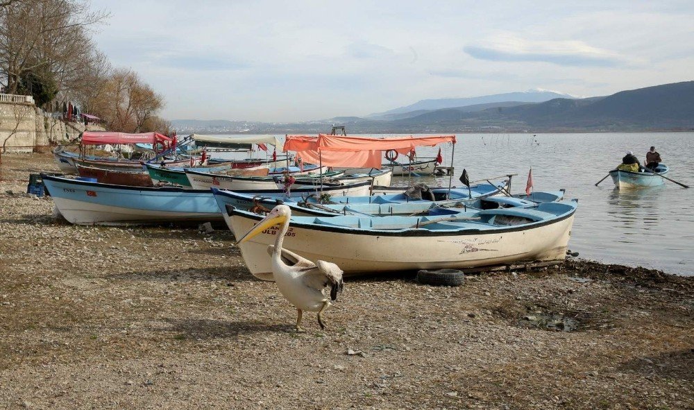 Kuraklıkla mücadele veren Bursa'da hayat da su kaynakları da normale döndü