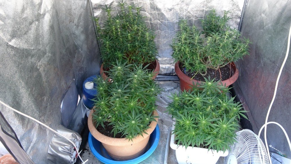 Manavgat bu adamı konuşuyor! Evinde yaptıkları herkesi şaşkına çevirdi