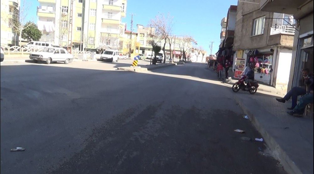 Pitbull kavgası kanlı bitti!