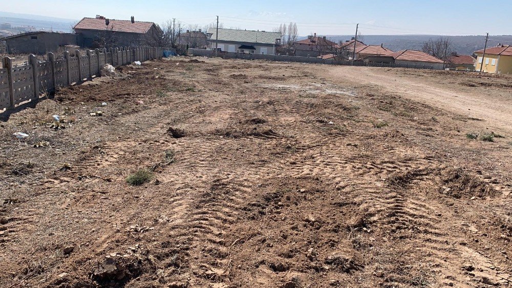 GES için cami bahçesindeki ağaçları bile kestiler! Vatandaş isyan etti