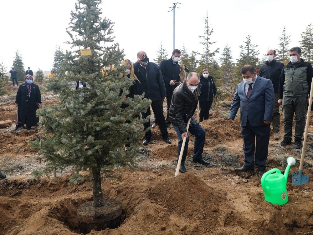Konya’da kadınlar 8 Mart'ı fidan dikerek kutladı
