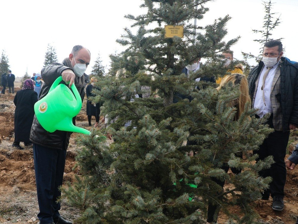 Konya’da kadınlar 8 Mart'ı fidan dikerek kutladı