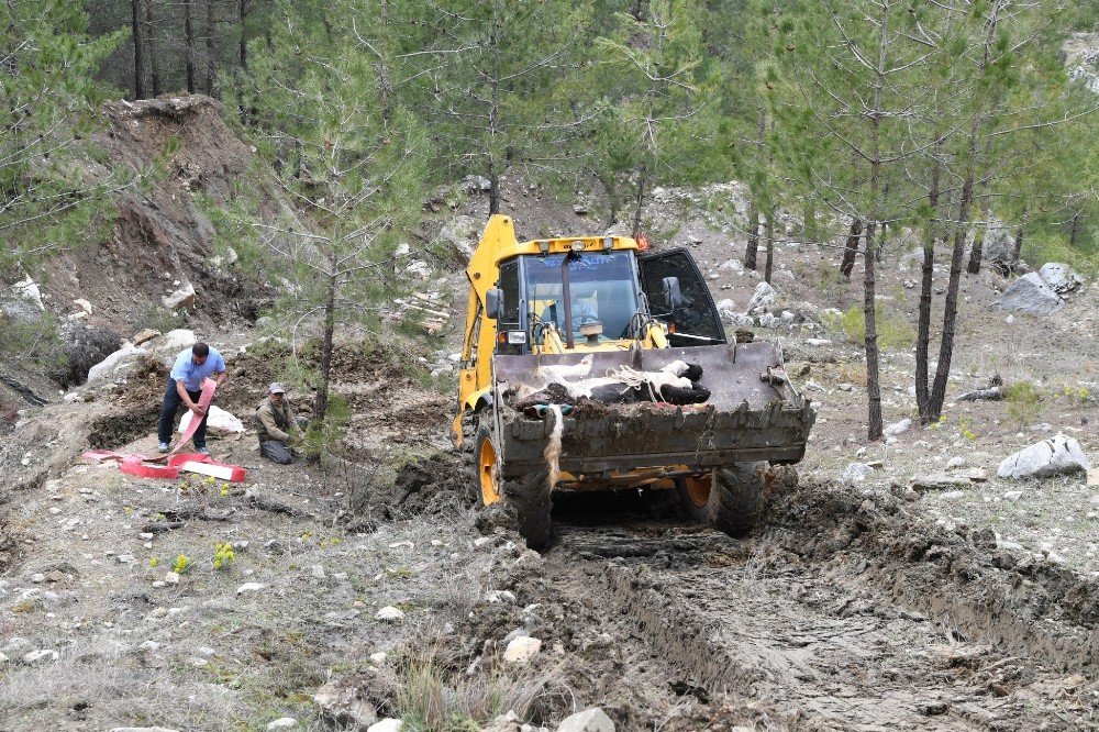 İnek uçuruma yuvarlandı! Üşümesin diye üzerini örttü