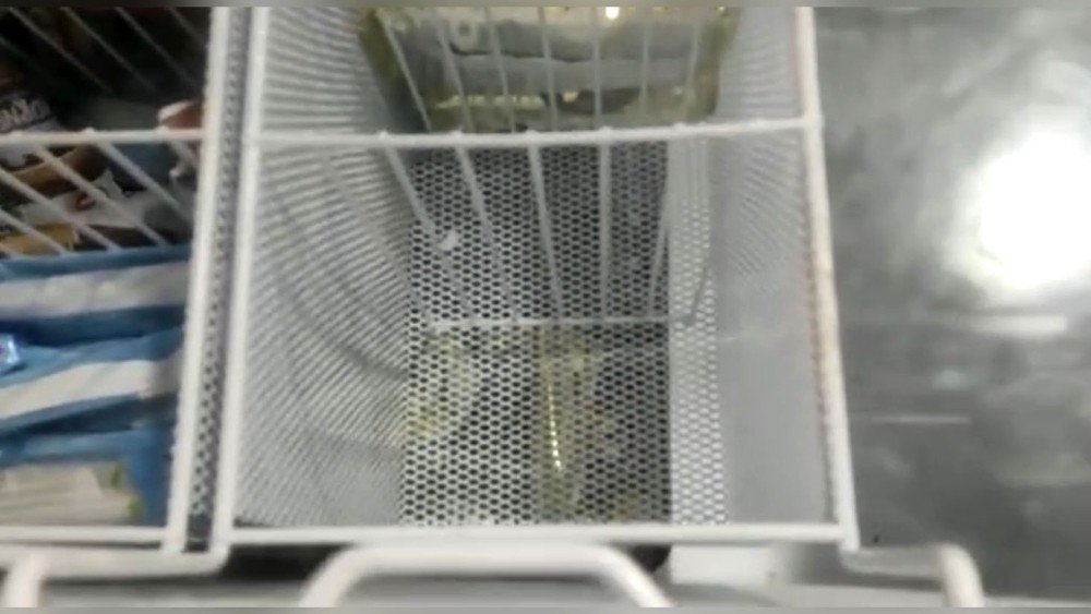 Hırsızlardan 'İllallah' diyen esnaf artık polise bile gitmiyor!