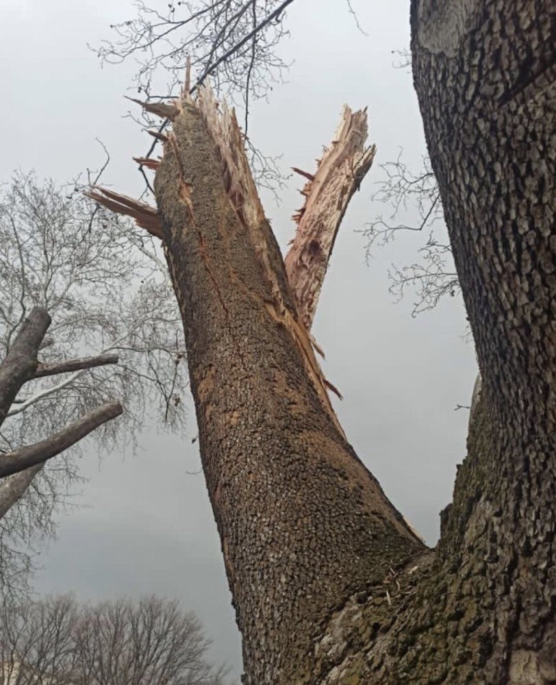 Bakandan 'TBMM bahçesine düşen yıldırım' açıklaması