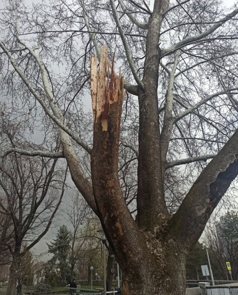 Bakandan 'TBMM bahçesine düşen yıldırım' açıklaması