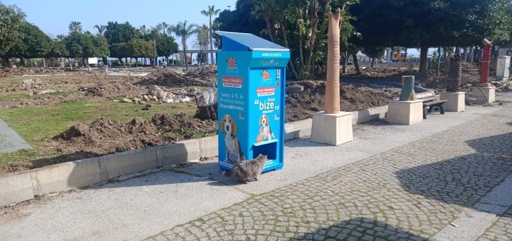 Antalya Kemer Belediyesi sessiz dostları unutmadı! İstedikleri zaman mamaya ulaşabilecekler
