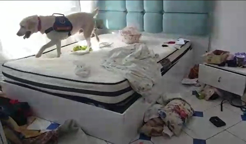 Eşzamanlı Dalgakıranda 5 şüpheli daha tutuklandı