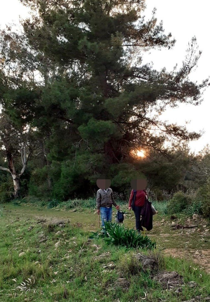 Her sene uyarı yapılıyor ama kimse dinlemiyor! İzinsiz orkideye fahiş ceza