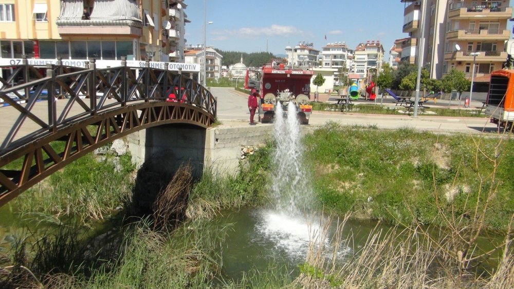 Su kanalındaki balık ölümleri mahalleliyi korkuttu