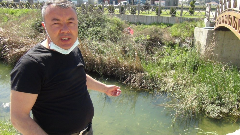 Su kanalındaki balık ölümleri mahalleliyi korkuttu