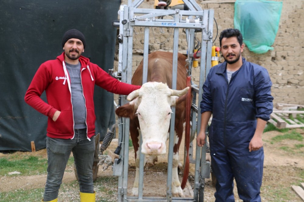 Hayvanların manikür pedikür işlerinde Konya marka oldu