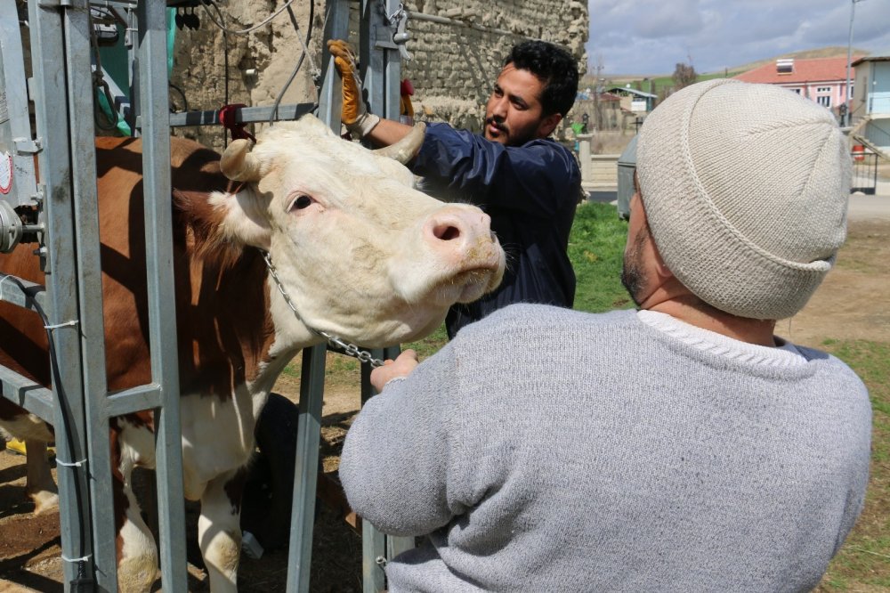 Hayvanların manikür pedikür işlerinde Konya marka oldu