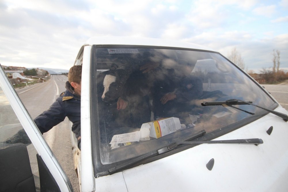 Konya'dan gülümseten görüntüler! Yavruyu ön koltukta taşıdı