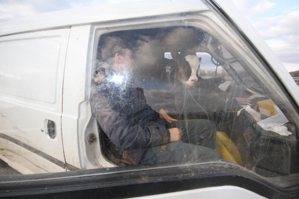 Konya'dan gülümseten görüntüler! Yavruyu ön koltukta taşıdı