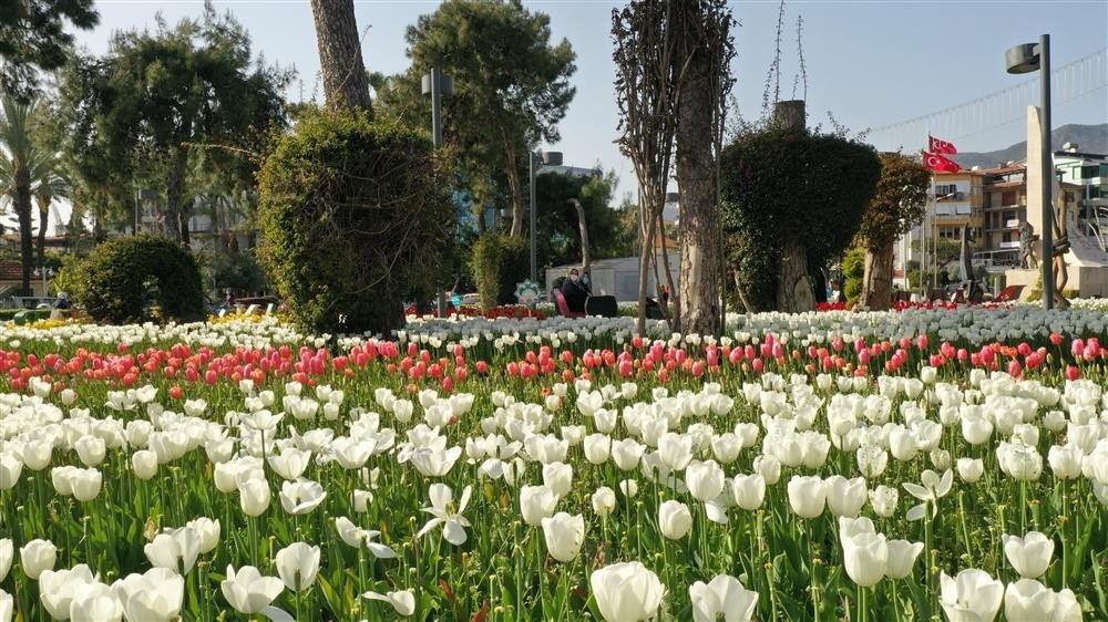 Alanya turizme tam anlamıyla hazır! İlçe pırıl pırıl