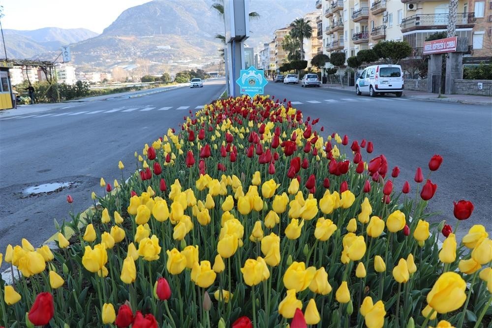Alanya turizme tam anlamıyla hazır! İlçe pırıl pırıl