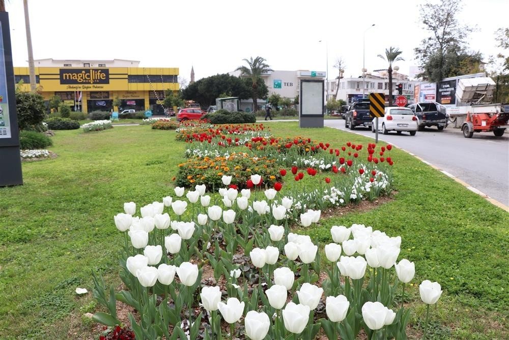 Alanya turizme tam anlamıyla hazır! İlçe pırıl pırıl
