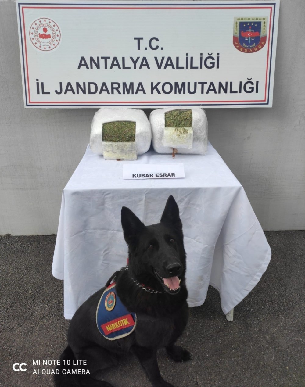 Antalya'da uyuşturucu trafiğine jandarmadan darbe! Tam 11 kilo esrar