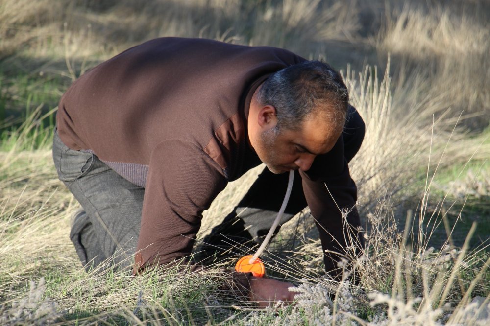 Elazığ'da heyecanlandıran keşif! Bir örneği de Çin'de