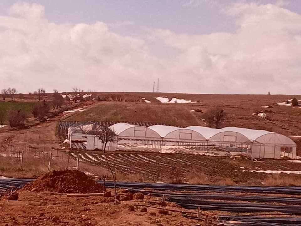 Heşey bir anda oldu! Seralar rüzgarlara teslim oldu