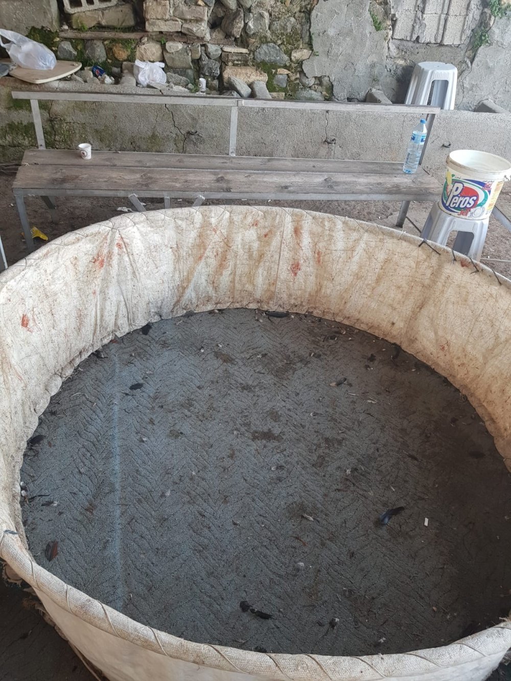 Horoz dövüşü pahalıya patladı