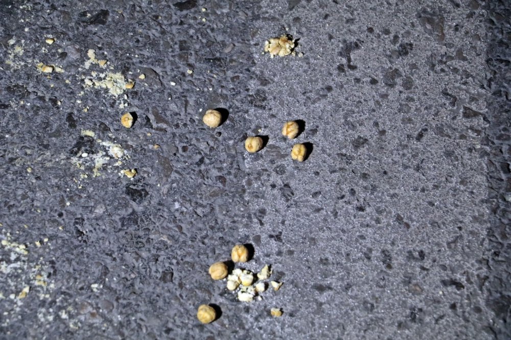 Sokak ortasında taşlı kavga! Hem dayak hem ceza yediler