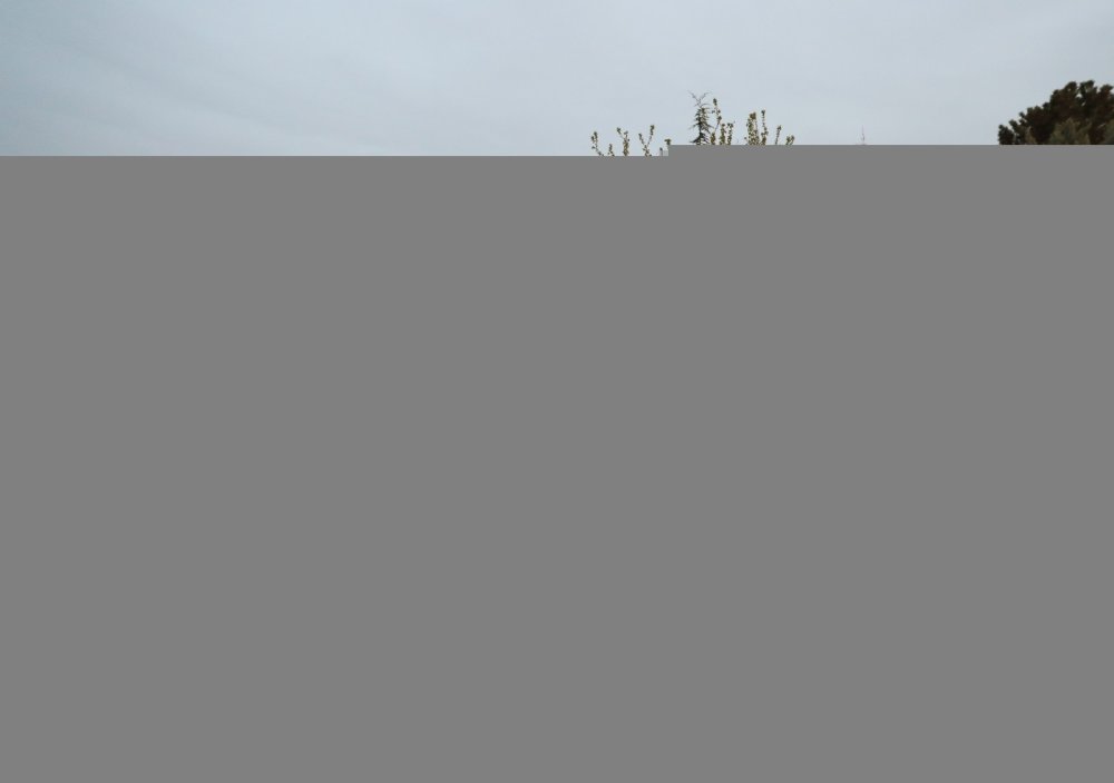 Cumhurbaşkanı Erdoğan iftarı askerlerle yaptı