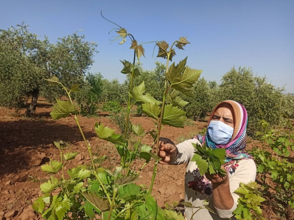 Bu yıl da kalabalık iftar sofraları kuramayan Anadolu insanı 'ülüş'e geçti
