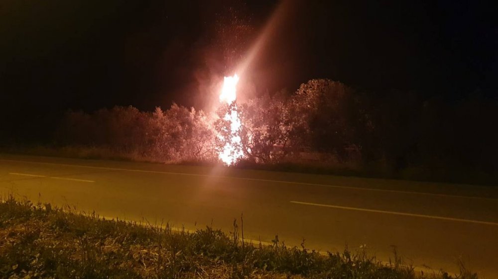 Odun yüklü kamyonet seyir halinde alev topuna döndü