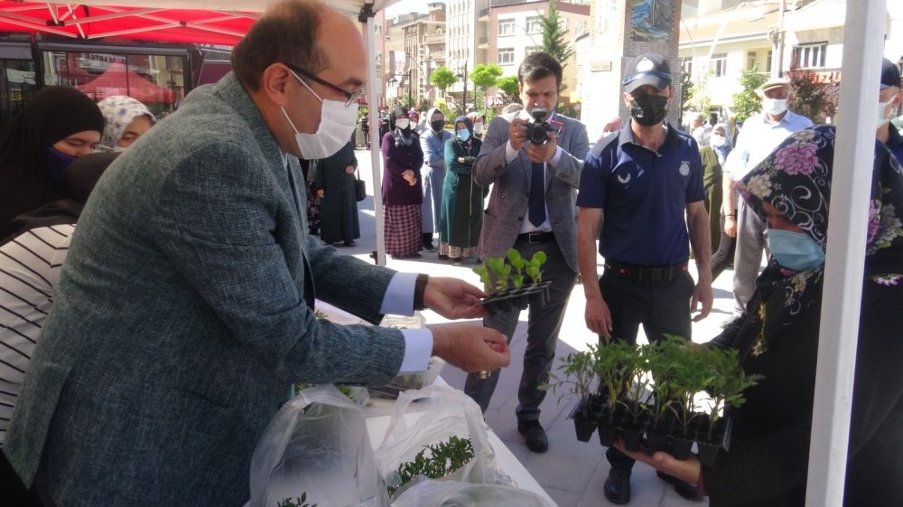 Atalık tohumlarla üretilen sebze fideleri vatandaşlara dağıtıldı