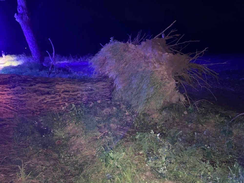 Otomobil rüzgarda önüne devrilen ağaca çarptı! 3 yaralı