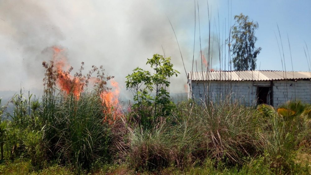 Antalya'da yangın sezonu başladı! Her sene yüzlerce dönüm arazi yanıyor