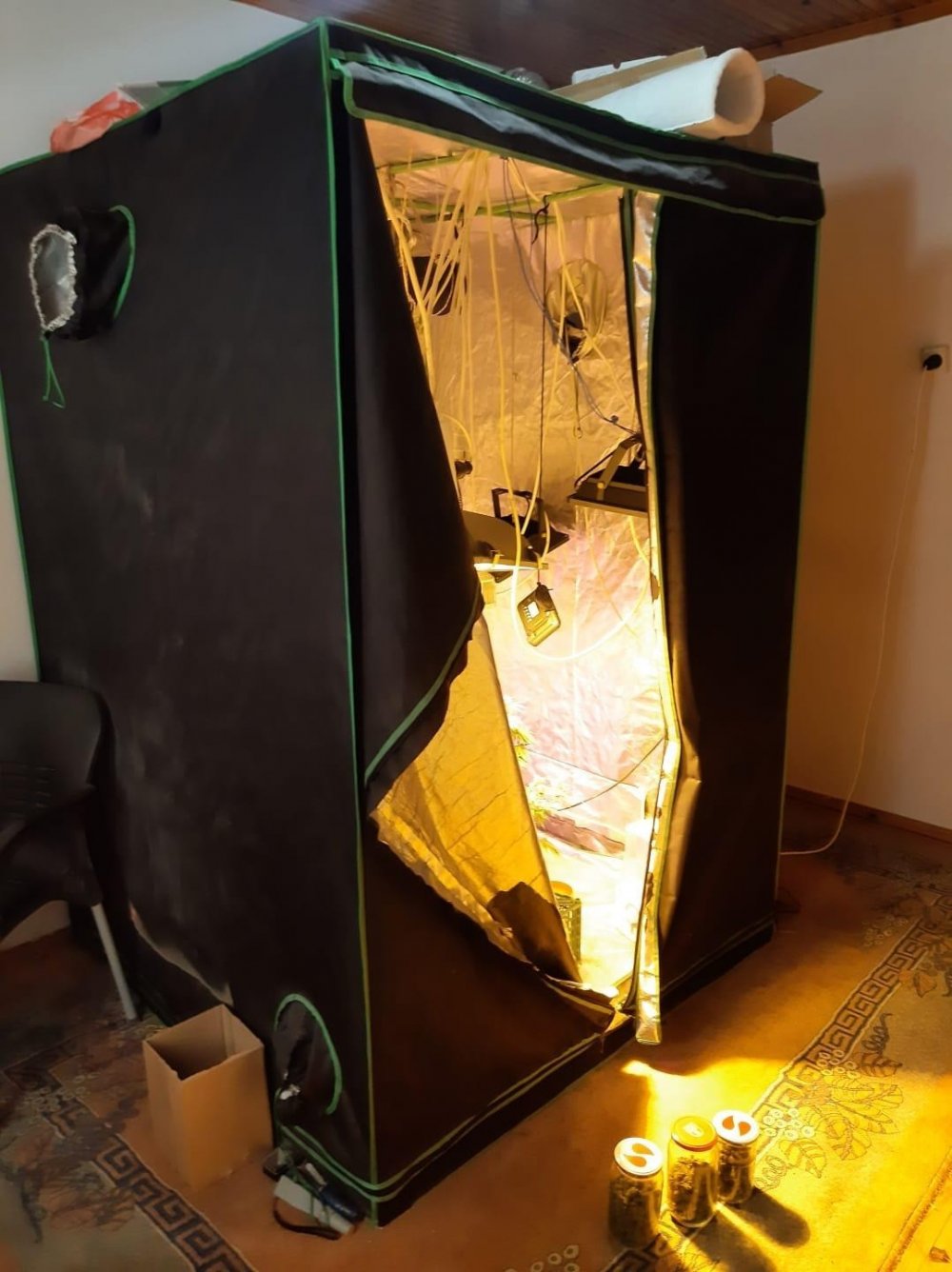 Konya'da 2 günde 5 uyuşturucu operasyonu! Balkonu ve dolabı kenevir serasına çevirdiler