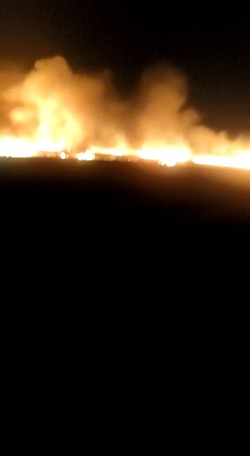 Bin 500 dönümlük buğday tarlası küle döndü