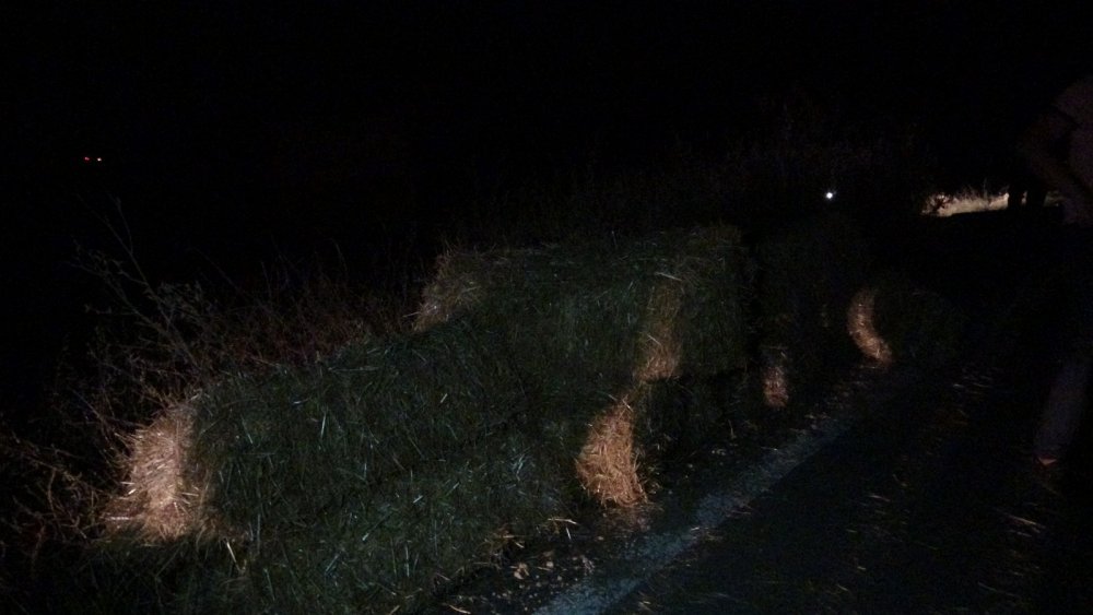 Saman balyaları üzerinde yolculuk hayatına maloluyordu