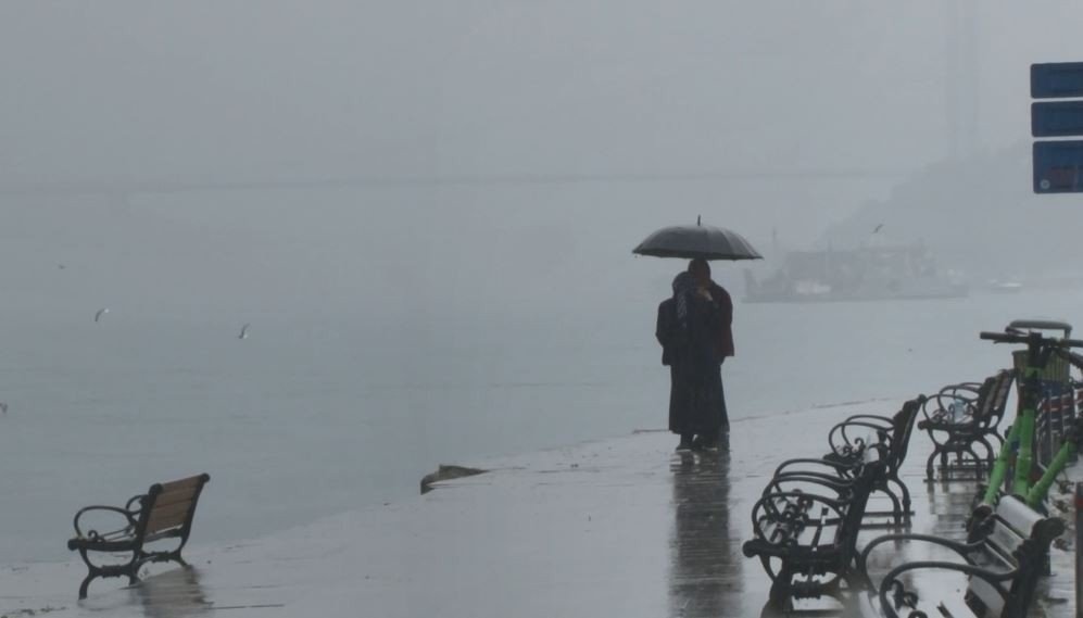 Yunus sürüsü İstanbul Boğazı’na akın etti