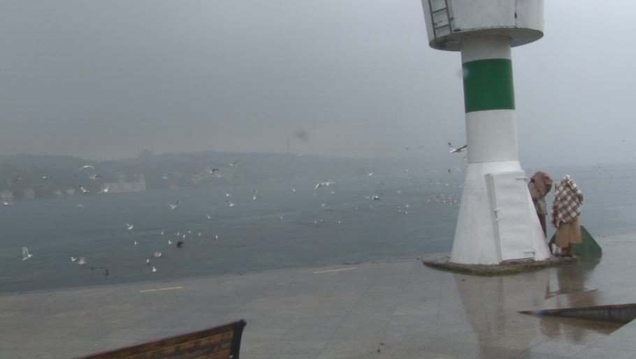 Yunus sürüsü İstanbul Boğazı’na akın etti