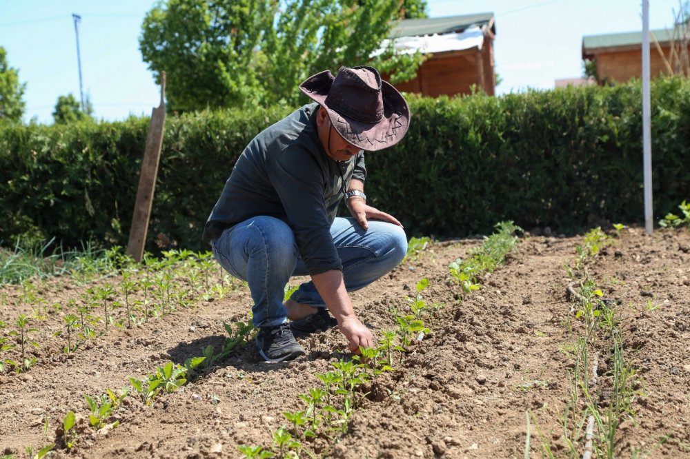 Meram Hobi Bahçelerinde hareketlilik arttı