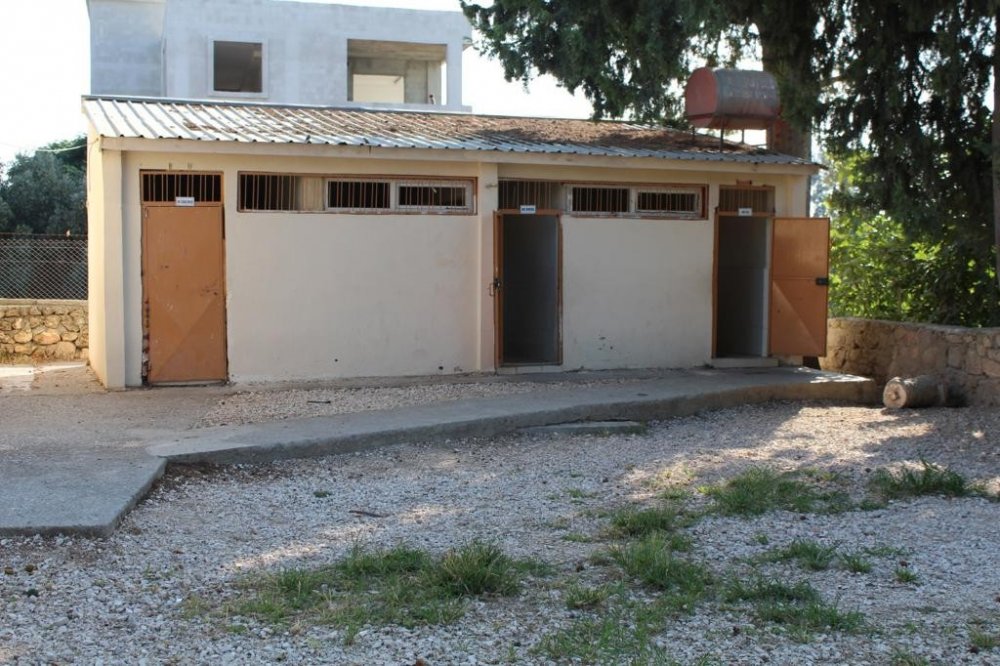 Adana'nın idealist öğretmeni Songül Parlak yaptığıyla dünyayı kendine hayran bıraktı