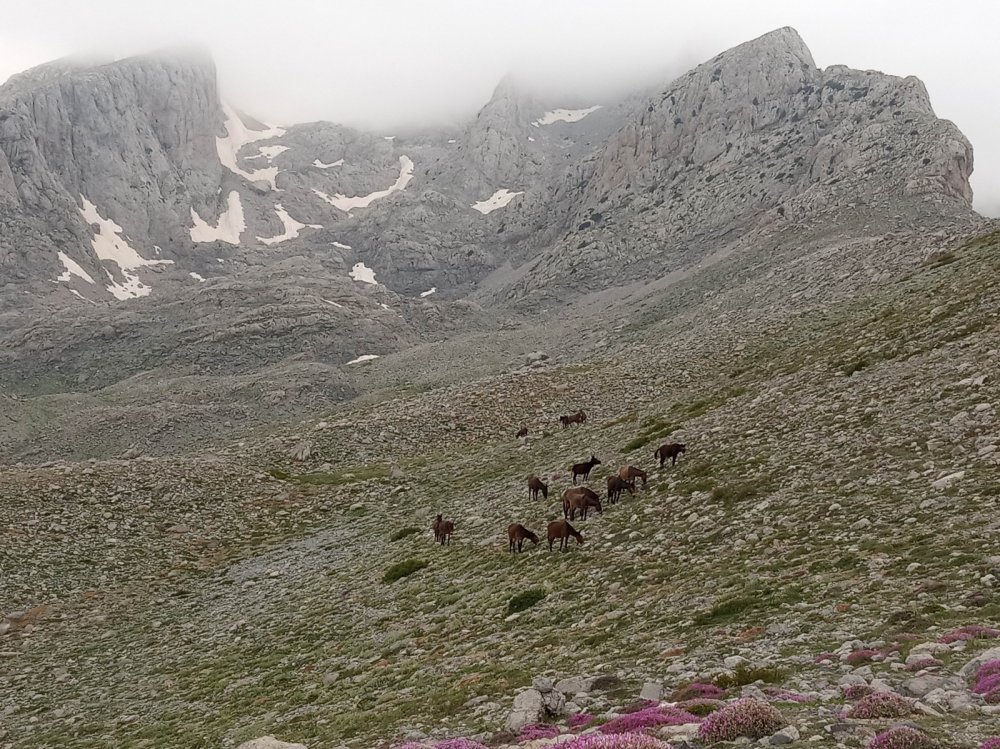 Konya Karagöl doğa tutkunlarının gözdesi oldu
