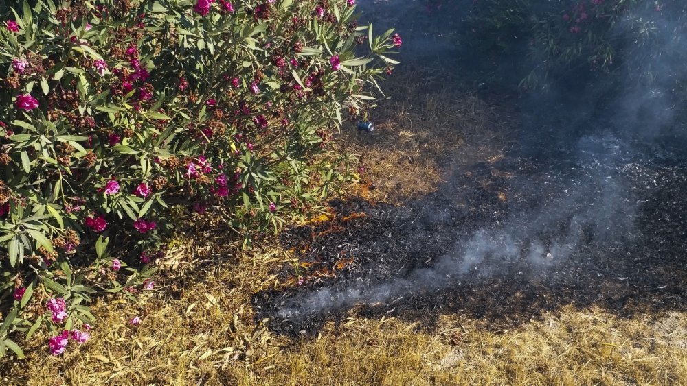 Adana'da çirkin hareket! Araçtan atılan izmarit yangına sebep oldu
