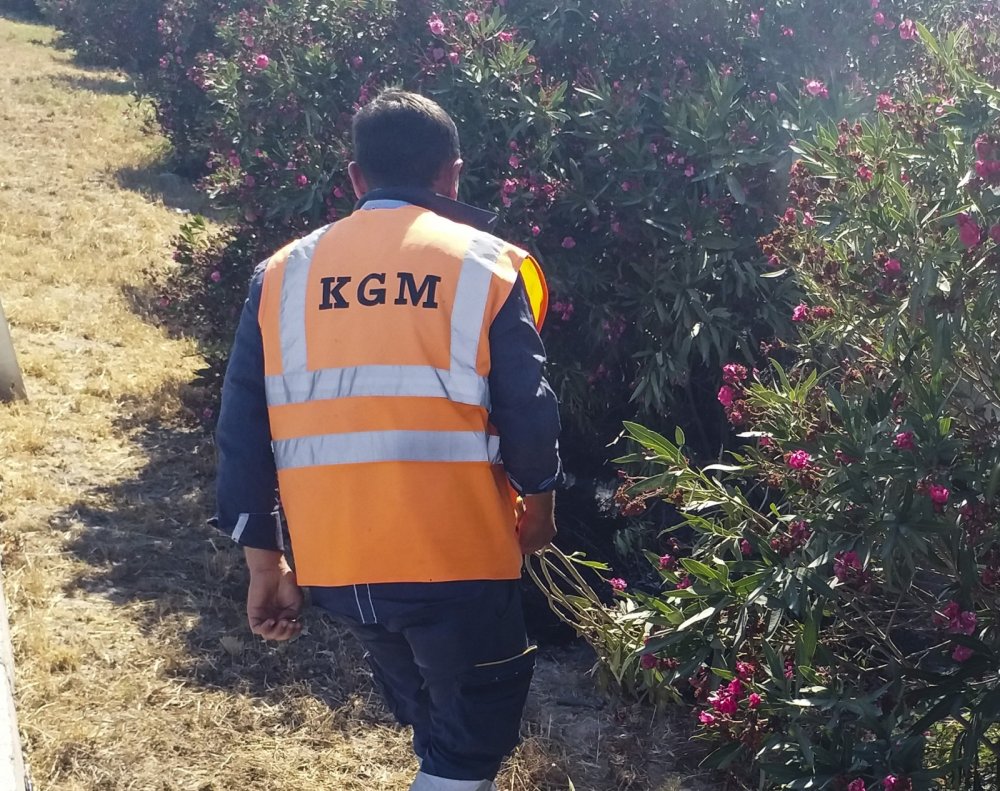 Adana'da çirkin hareket! Araçtan atılan izmarit yangına sebep oldu