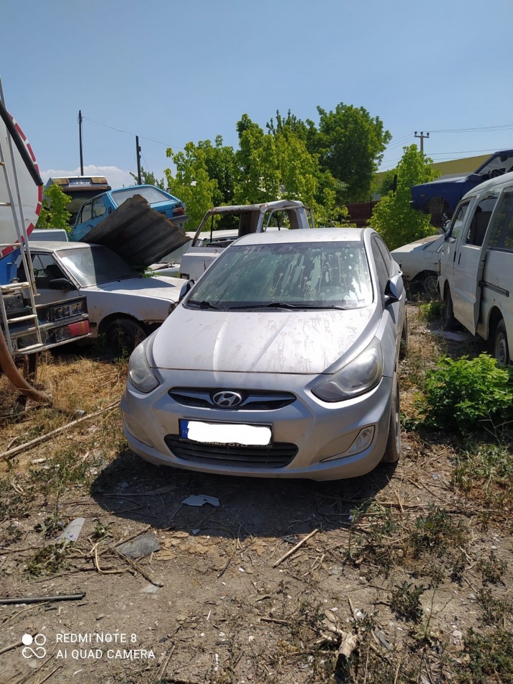 Zeytinyağı hırsızları yakalandı