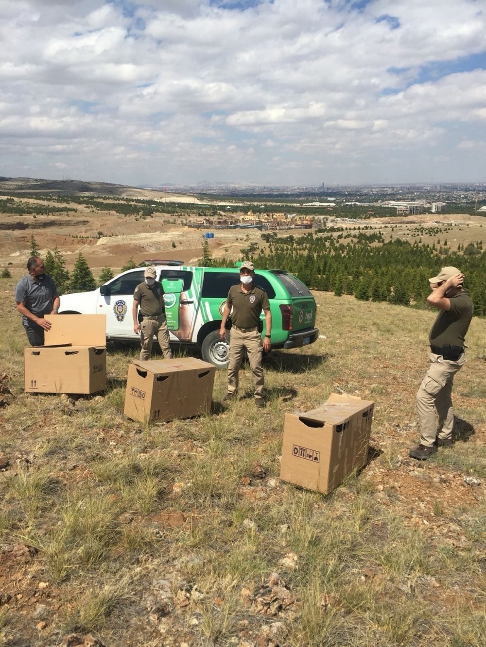 Konya’da izinsiz beslenen 76 keklik için 61 bin lira ceza