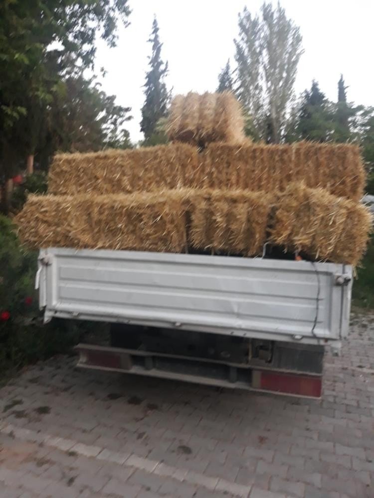 Çiftçinin samanına göz diken hırsızlar tutuklandı