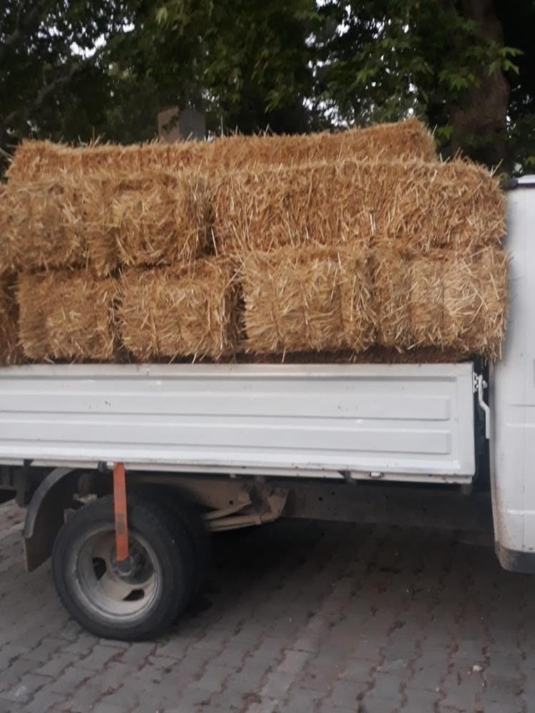 Çiftçinin samanına göz diken hırsızlar tutuklandı